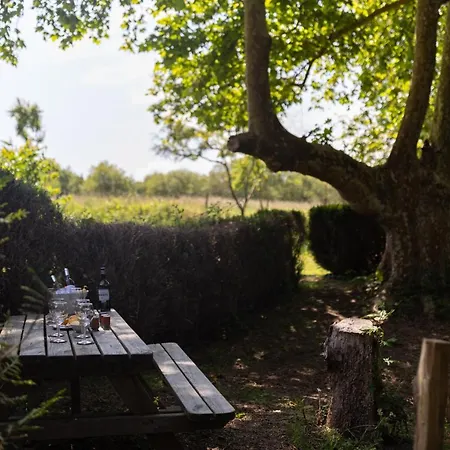 La Metairie - Largiliere Вилла *