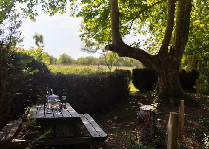 La Metairie - Largiliere فيلة *